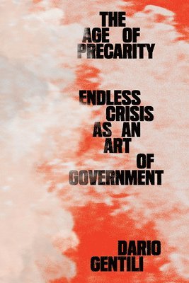 bokomslag Age of Precarity