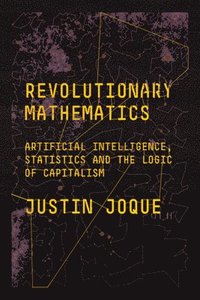 bokomslag Revolutionary Mathematics