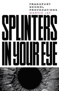 bokomslag Splinters in Your Eye