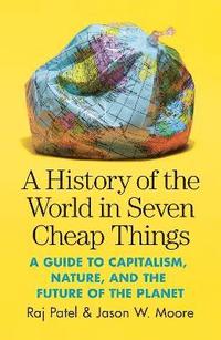 bokomslag A History of the World in Seven Cheap Things