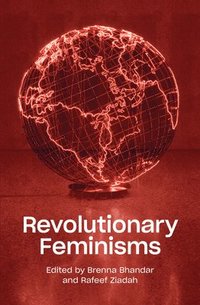 bokomslag Revolutionary Feminisms