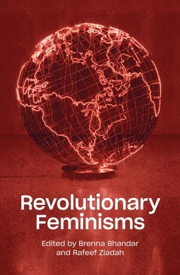 bokomslag Revolutionary Feminisms