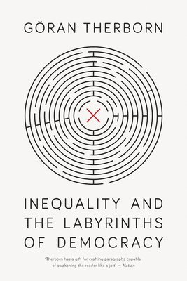 bokomslag Inequality and the Labyrinths of Democracy