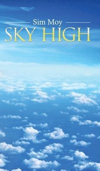 bokomslag Sky High