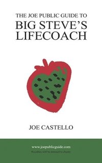bokomslag The Joe Public Guide To Big Steve's Lifecoach