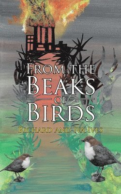 bokomslag From the Beaks of Birds