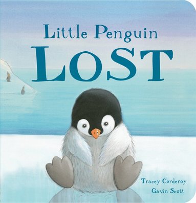 Tracey Corderoy, Gavin Scott - Little Penguin Lost, Kartonnage