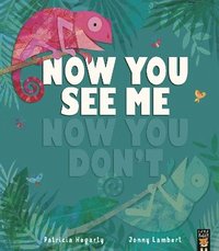 bokomslag Now You See Me, Now You Don't
