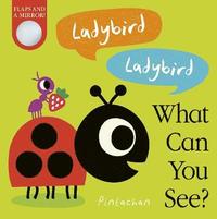 bokomslag Ladybird! Ladybird! What Can You See?