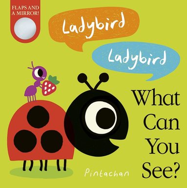 Amelia Hepworth - Ladybird! Ladybird! What Can You See?, Kartonnage