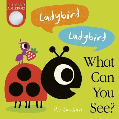 Ladybird! Ladybird! What Can You See? 1