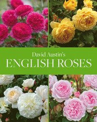 bokomslag David Austin's English Roses