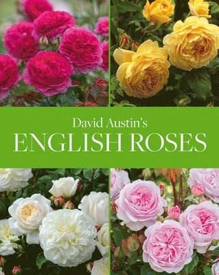 David Austin's English Roses 1