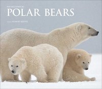 bokomslag Polar Bears