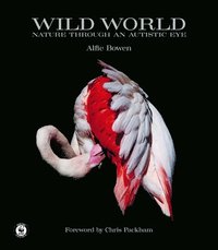 bokomslag Wild World