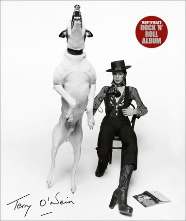 Terry O'Neill - Terry O'Neill's Rock 'n' Roll Album, Inbunden