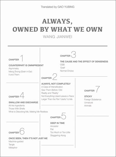 Wang Jianwei - Always, Owned by What We Own, Inbunden