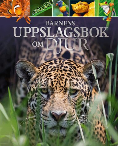 Michael Leach, Meriel Land - Barnens uppslagsbok om djur, Inbunden