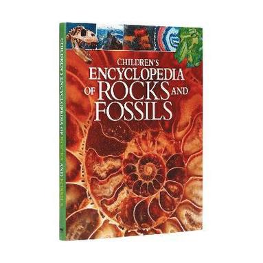 Claudia Martin - Children's Encyclopedia of Rocks and Fossils, Inbunden