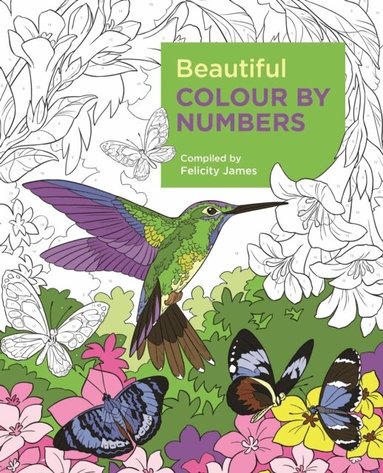 Felicity James - Beautiful Colour by Numbers, Häftad