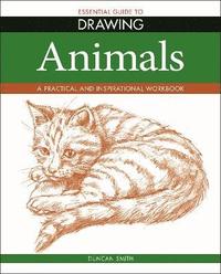 bokomslag Essential Guide to Drawing: Animals