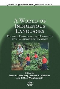 bokomslag A World of Indigenous Languages