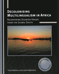 bokomslag Decolonising Multilingualism in Africa