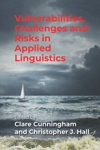 bokomslag Vulnerabilities, Challenges and Risks in Applied Linguistics