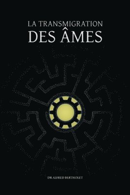 Alfred Bertholet - transmigration des âmes, Häftad