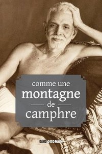 bokomslag Comme une montagne de camphre