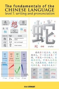 bokomslag The Fundamentals of the Chinese Language