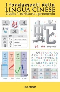 bokomslag I fondamenti della lingua cinese