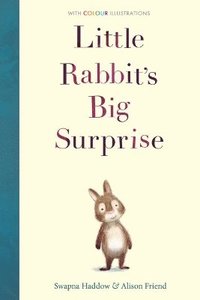 bokomslag Little Rabbit's Big Surprise