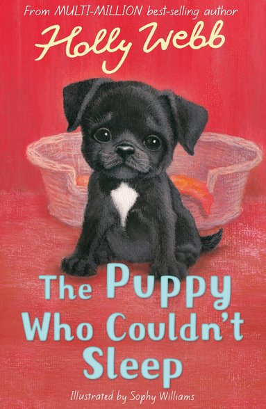 Holly Webb - The Puppy Who Couldn't Sleep, Häftad