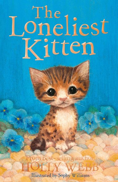 Holly Webb - The Loneliest Kitten, Häftad