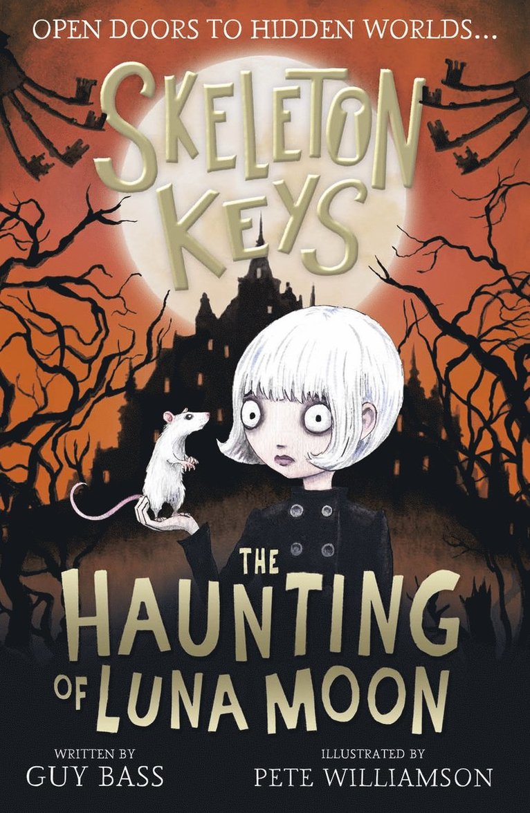 Guy Bass - Skeleton Keys: The Haunting of Luna Moon, Häftad