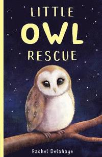 bokomslag Little Owl Rescue