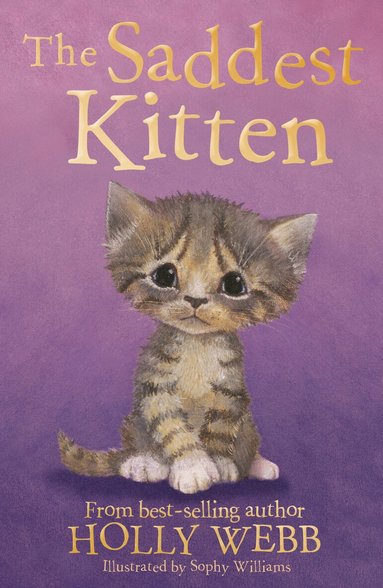 Holly Webb - The Saddest Kitten, Häftad