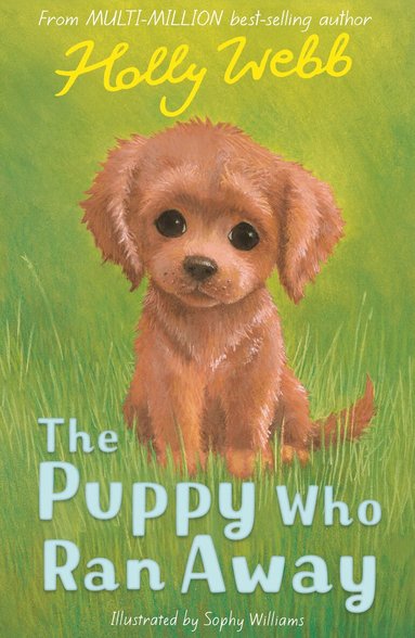 Holly Webb - The Puppy Who Ran Away, Häftad