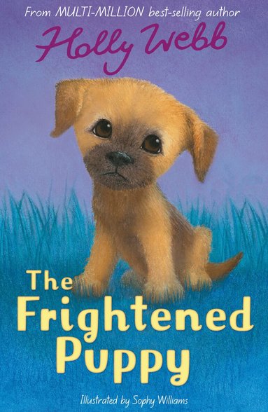 Holly Webb - The Frightened Puppy, Häftad