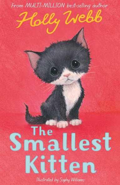 Holly Webb - The Smallest Kitten, Häftad