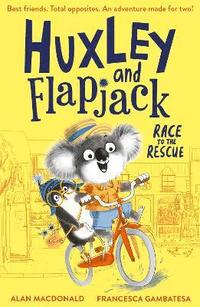 bokomslag Huxley and Flapjack: Race to the Rescue