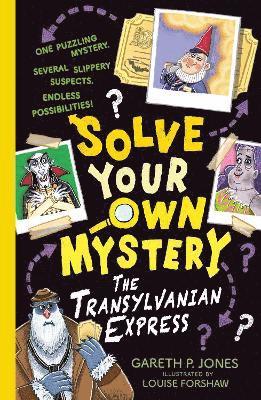 bokomslag Solve Your Own Mystery: The Transylvanian Express