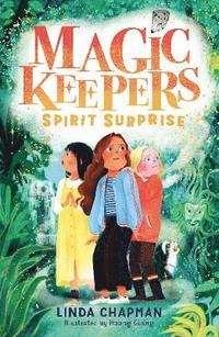 bokomslag Magic Keepers: Spirit Surprise