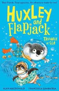 bokomslag Huxley and Flapjack: Trouble at Sea
