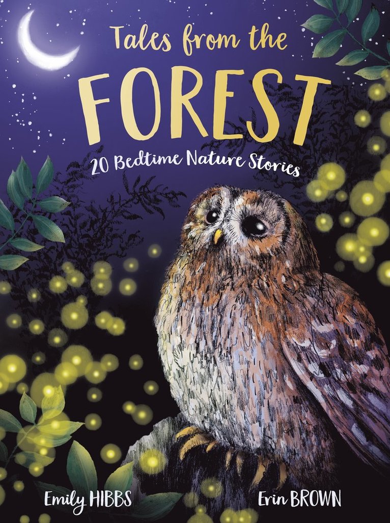 Emily Hibbs - Tales From the Forest, Häftad