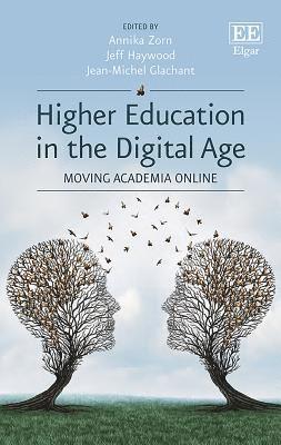 bokomslag Higher Education in the Digital Age