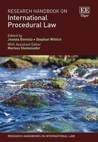 bokomslag Research Handbook on International Procedural Law