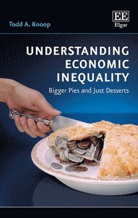 bokomslag Understanding Economic Inequality