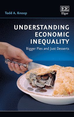 bokomslag Understanding Economic Inequality